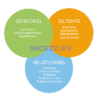 Infographie-snoezelen-v2